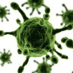 Ciri dan Struktur Virus